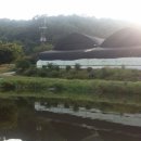 새미 낚시터 이미지