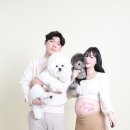디마시스템 | [대구] 셀프스튜디오 추천 / 디마백 촬영 / 만삭사진 촬영 / 반려견동반 촬영 "포토데이트 동성로...