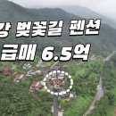 구례 섬진강 벚꽃길 펜션 급매 6억5천만원 이미지