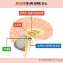 성신고려요양병원 | 전주 요양병원 추천 파킨슨병 관리 잘하는 전주 연수 요양병원