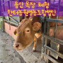 한터농원영농조합 | 가볼만한 곳] 동물 먹이주기와 소 달구지 체험, 쿠킹 클래스까지 가능한 목장, “한터농원영농조합법인”
