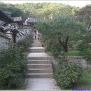 소수중학교 | [대구박물관] 대구.경북의 유교문화, 사림과 서원