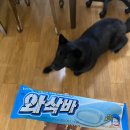 와삭아이스크림 이미지