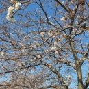 애월고등학교 이미지