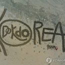 독도코리아 이미지