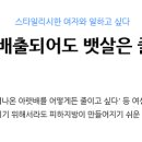 수제디저트달보드레