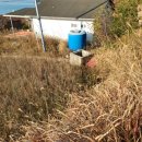 금일읍-1 이미지