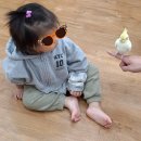 아이빛어린이집 | (🥰아이들에게 꿈을 심어 주는 송파구 삼전동 새빛어린이집 소식)~~동물체험 후기