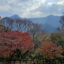 내장산(백련암,서래봉,망해봉,불출봉)단풍 구경하고 왔습니다 이미지