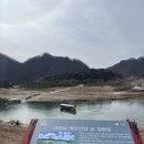 관음송 | | 강원도 영월 | 단종의 유배지 청령포, 관음송의 소원 전설🏃🏻뚜벅이 당일치기 코스 (4)