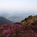 옥천매표소 이미지