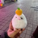 까치 뽑기방 네이버블로그