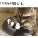 세븐 무도학원 이미지