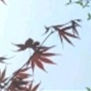 위드치과보철과의원 이미지