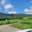 마시마니 문어전복갈비찜 강진점 이미지