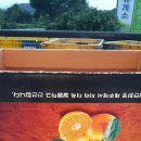 선화농원