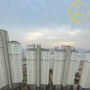 종촌동_CGV앞 이미지