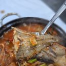 동해시-53 | [속초 금호동 맛집] 동해바다 물곰탕 – 얼큰한 가자미조림 제대로, 속초 현지인 식당 솔직 후기