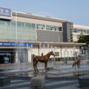 포란재로 네이버블로그
