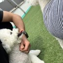 사랑한다, 멍 이미지