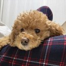 은비유치원 | 2026.01 ʕ”̮ॽु⋆⁺₊⋆ ♡̷̷̷