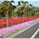 도화면사무소 이미지