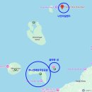 하얀멍이 | 실라덴섬 내돈내산 스노쿨링 후기 / 부나켄과 다른 매력의 바다 / 하얀 모래길 실물 감동 / 새벽 출국...