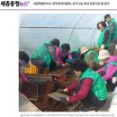 ♨전의면 꽃씨 파종 이미지
