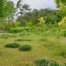 푸른수목원 이미지