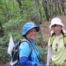 7월10일(수)천안 아산 강당골 계곡 피서 도보(8Km)/진행; 다빈님 이미지