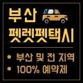 부산펫렛펫택시 이미지