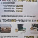 곤충하모니