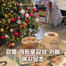 강릉 초당 카페 추천 라떼가 맛있는 애시당초