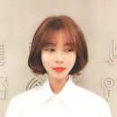 주니스헤어 신금호점 네이버블로그