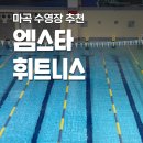 몸존휘트니스 | 엠스타휘트니스 강서구 마곡 수영장 자유수영 후기