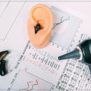 달팽이신경과 이미지