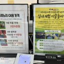 뷰티살롱 미술 거품놀이 노리들노리쌤 파주점 두번째 간단후기
