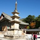 경주초장 이미지