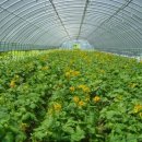 산천초목민박 이미지