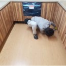 클린워시 이미지