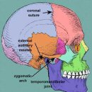 석봉한의원 이미지
