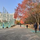 은빛근린공원 이미지