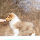 레디에이트(RADIATE) 이미지