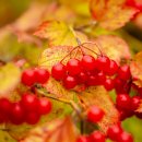 복음의원 | 요한복음 속 니고데모 이야기: 두려움을 이겨낸 신앙의 점진적 성장