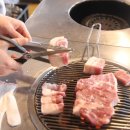 언제나꽃돼지 이미지