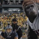 미스터고 이미지