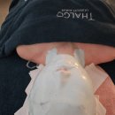 나래초교 | [시흥에스테틱 추천] &#39;김재이 에스테틱&#39;에서 프랑스 딸고 시카마린 트리트먼트 받고 피부 속까지 촉촉해...