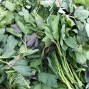 김종군농장 이미지