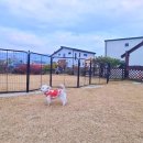 경주통나무 이미지