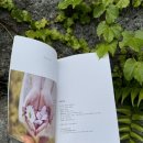 매체활용책출간작가되기 이미지